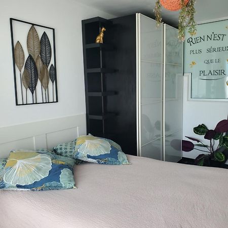 Appartement Cosy Entierement Equipe 툴루즈 외부 사진