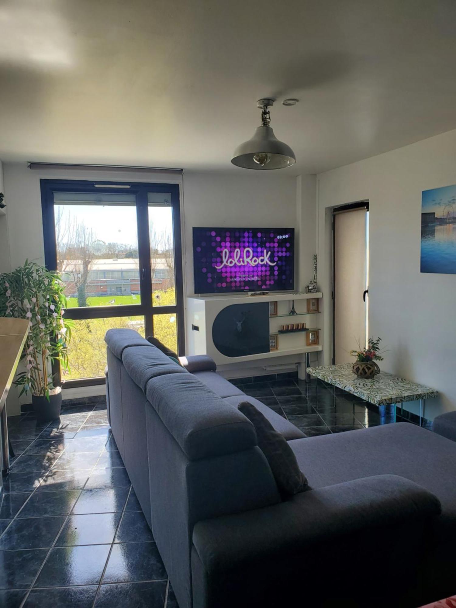 Appartement Cosy Entierement Equipe 툴루즈 외부 사진